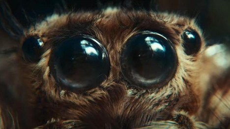 Valentinstag 2022: Leo Burnett feiert das Samsung Galaxy S22 Ultra - Die Spinne Sam erlebt mit dem Samsung Galaxy S22 eine Romanze mit Höhen und Tiefen - Foto: Samsung